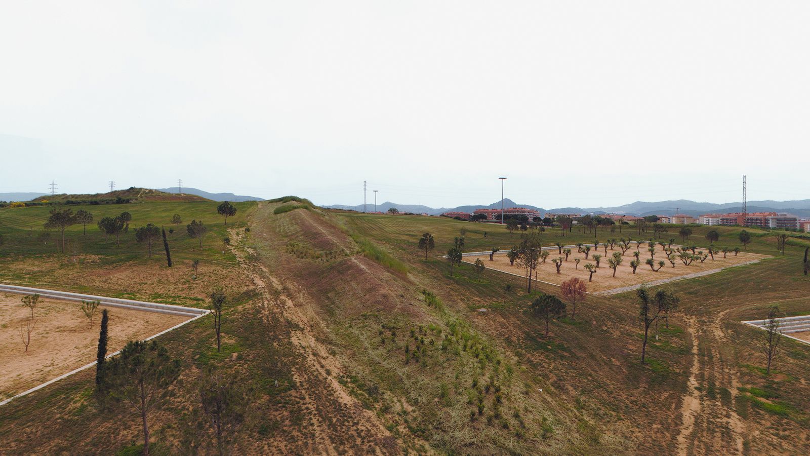 High-angle landscape view of Pinetons Park, showing a central dirt and grass ridge dividing terraced plots with young tree plantations, bordered by distant residential buildings and hills under a cloudy sky.