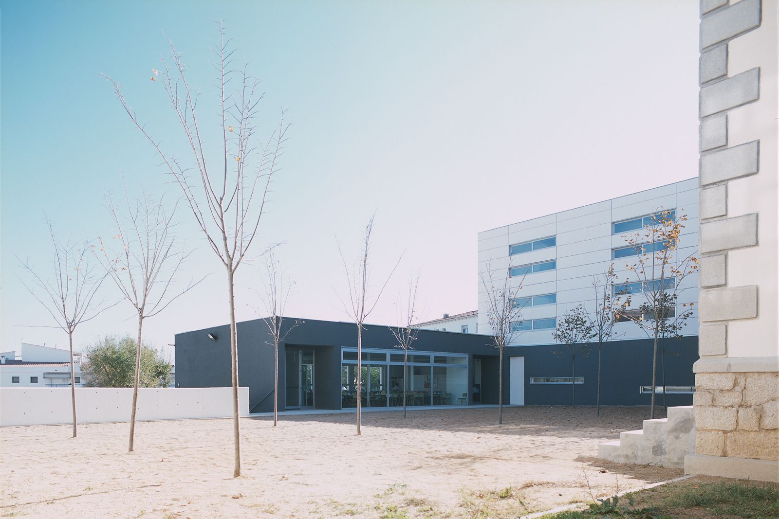 Modern school building with a courtyard and newly planted trees.