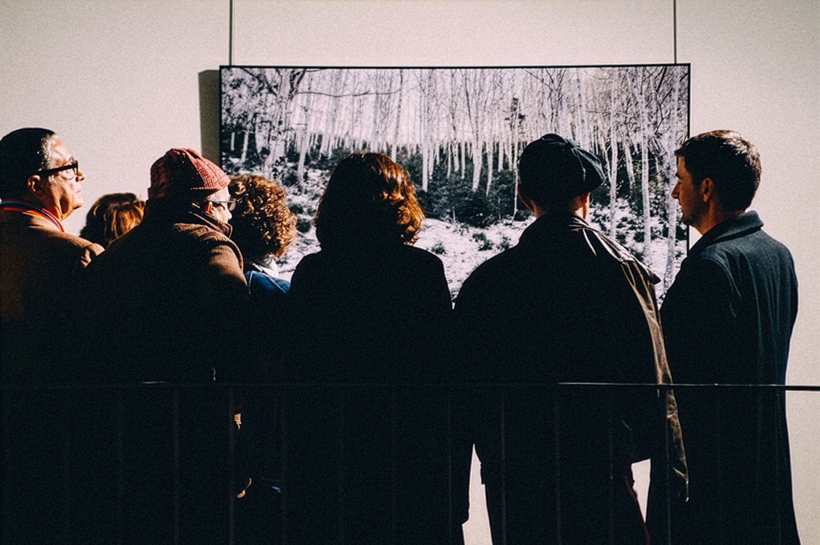 Personas reunidas de cerca, viendo una gran fotografía de paisaje en una exposición.