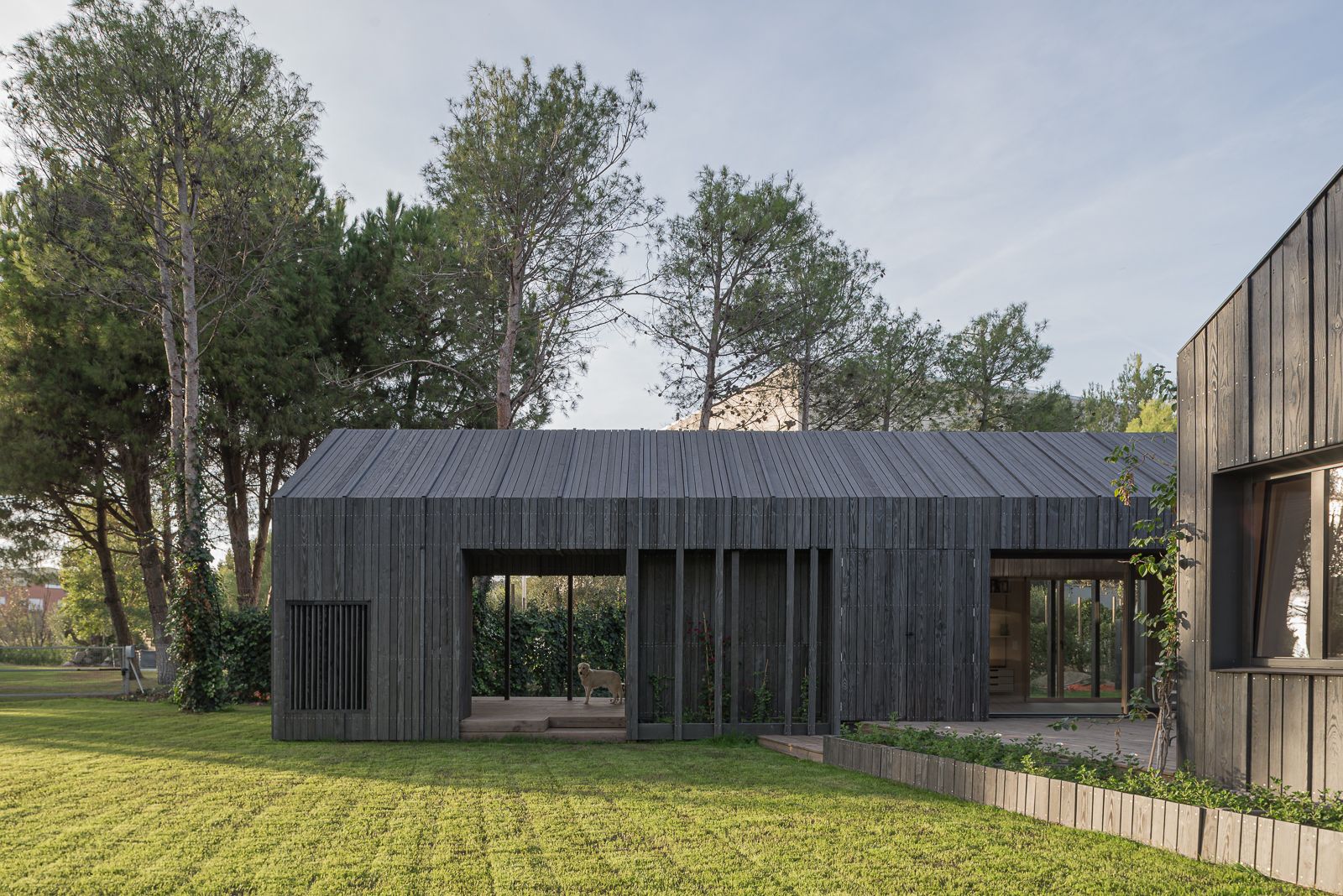 Modern house with a pitched roof, dark wood cladding, large windows, and a spacious lawn, surrounded by pine trees.