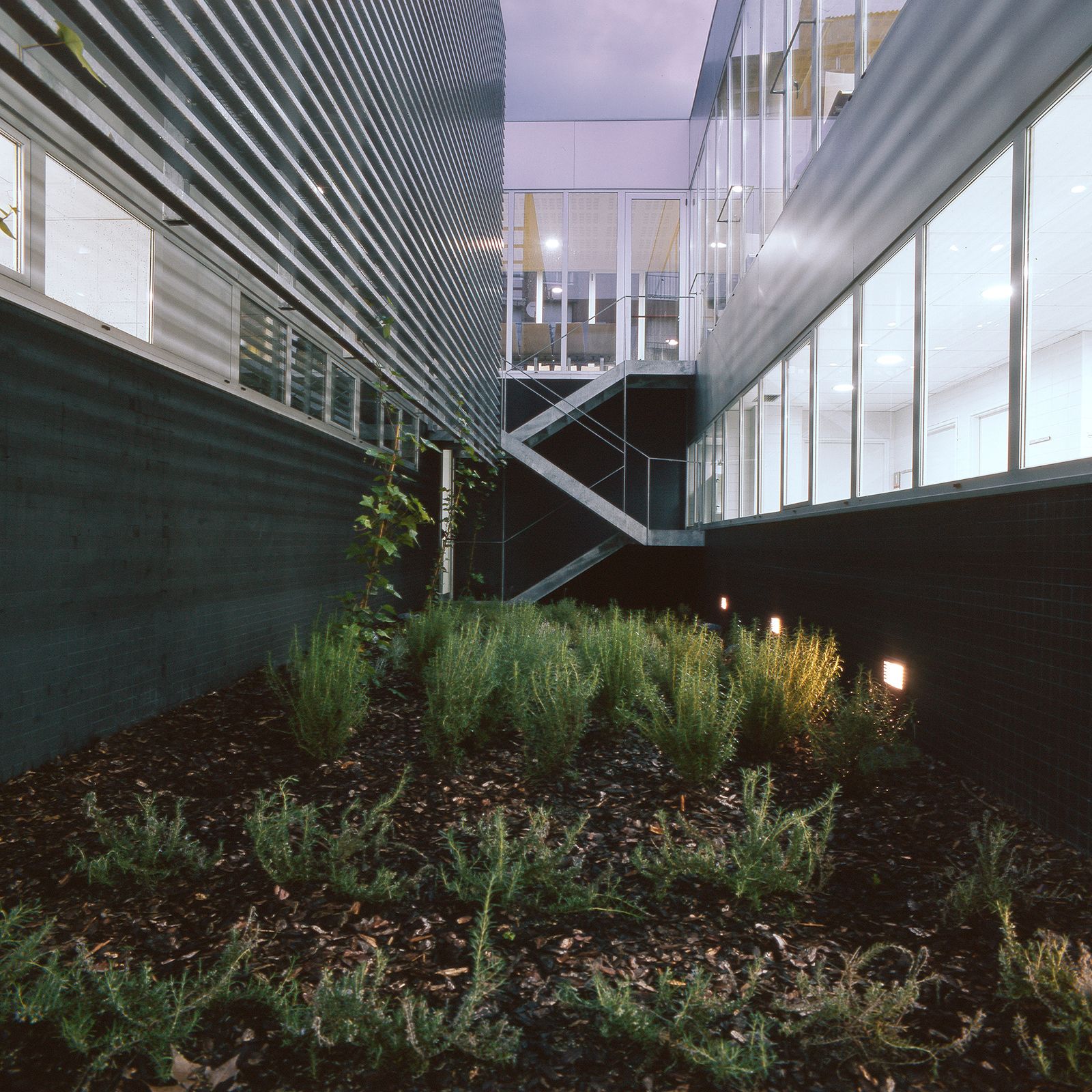 An architectural landscape photograph of a modern interior courtyard at dusk. The foreground features a garden plot with dark mulch and low green bushes illuminated by warm accent lights. The space is bordered by a dark corrugated metal facade on the left and a long row of illuminated interior windows on the right, with an outdoor galvanized steel zigzag staircase rising in the background.