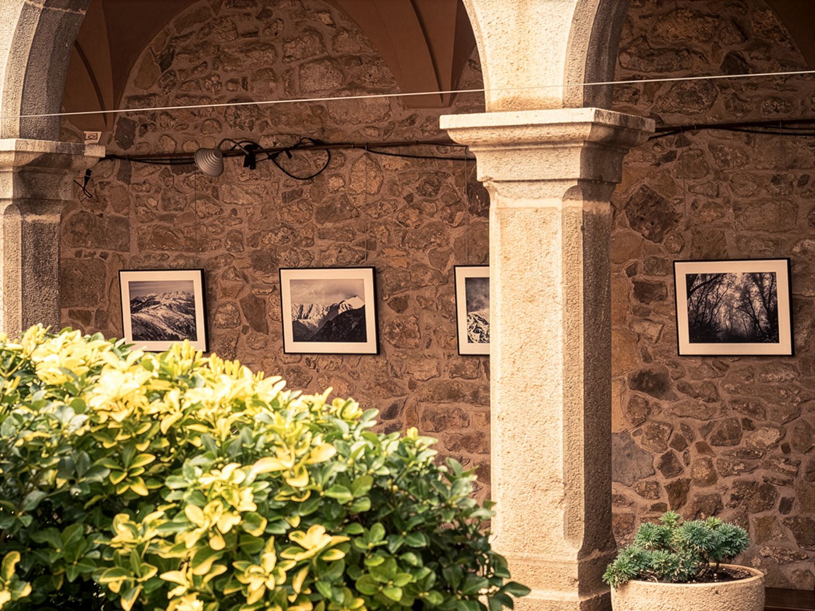 Quatre fotografies emmarcades exposades en una paret de pedra, vistes a través d'un arc, amb fullatge verd en primer pla.