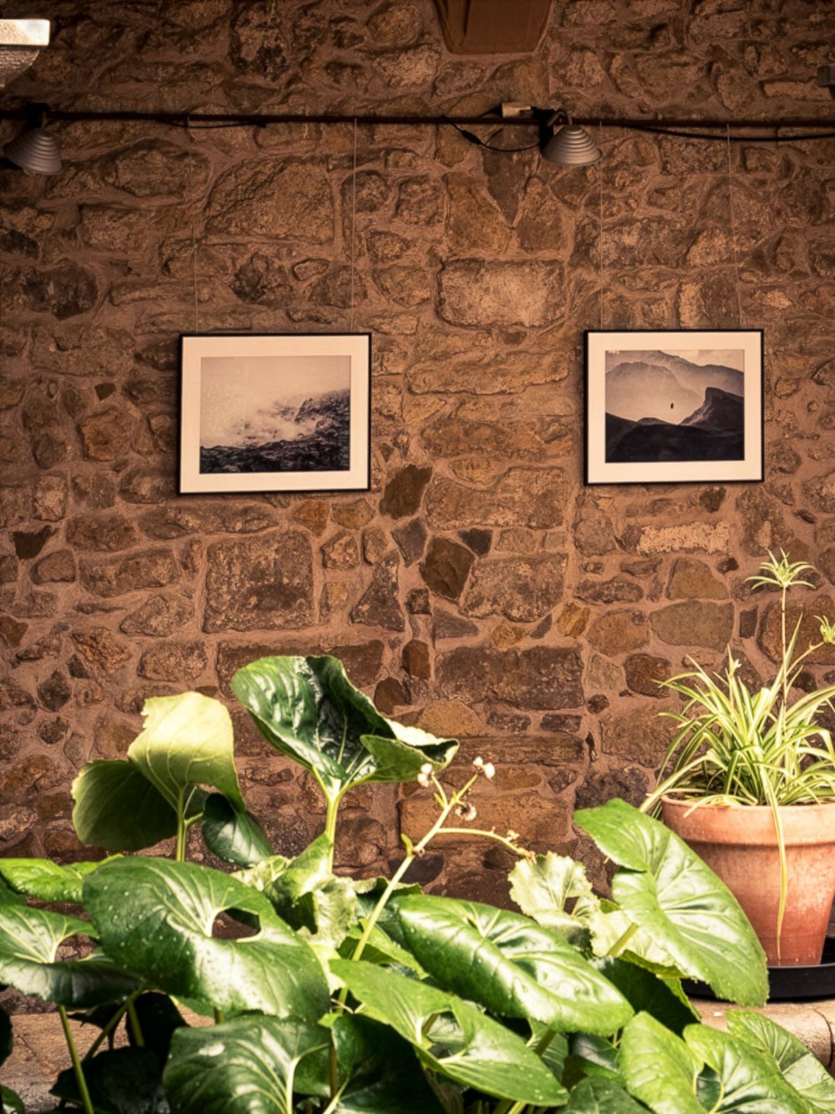 Dues fotografies emmarcades exposades en una paret de pedra, amb plantes verdes en test en primer pla.